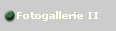 Fotogallerie II